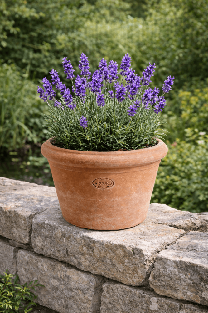 Mini Vaso Liscio – pot en terre cuite d’Impruneta fait main pour herbes et petites plantes